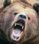 Аватар користувача