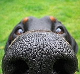 Аватар користувача