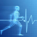 Аватар користувача