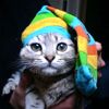 USER_AVATAR